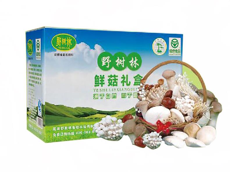鲜蘑菇礼盒