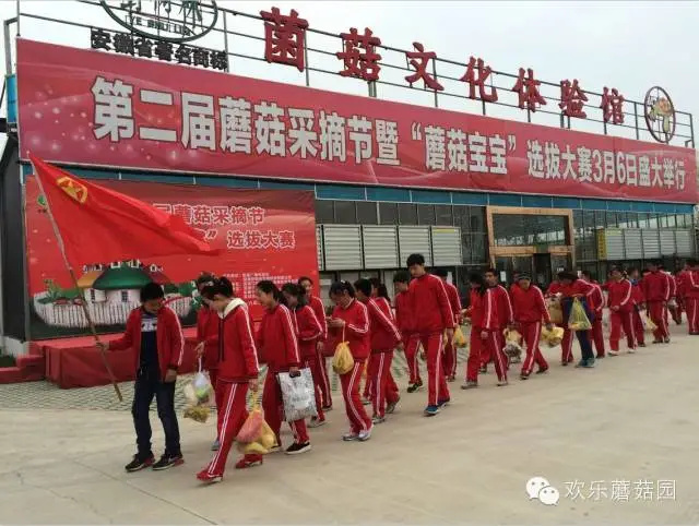 蘑菇君，喊你来野树林百菇园春游啦！