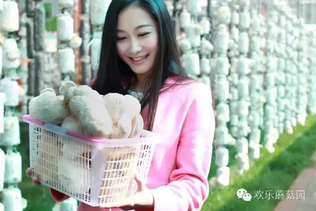 《我的博士老公》中最漂亮的女演员重磅来袭！！！