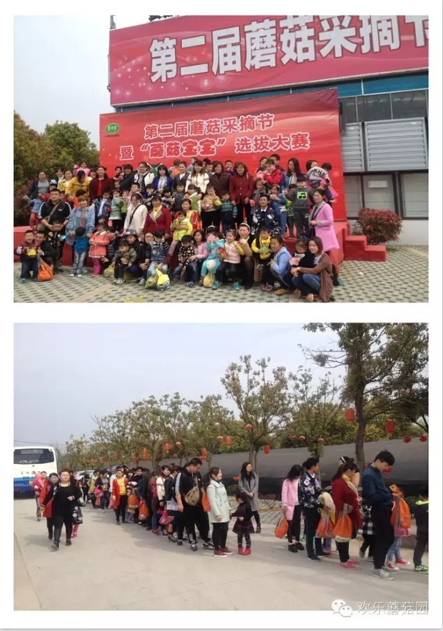 抓住清明小长假的尾巴，来野树林采蘑菇吧！