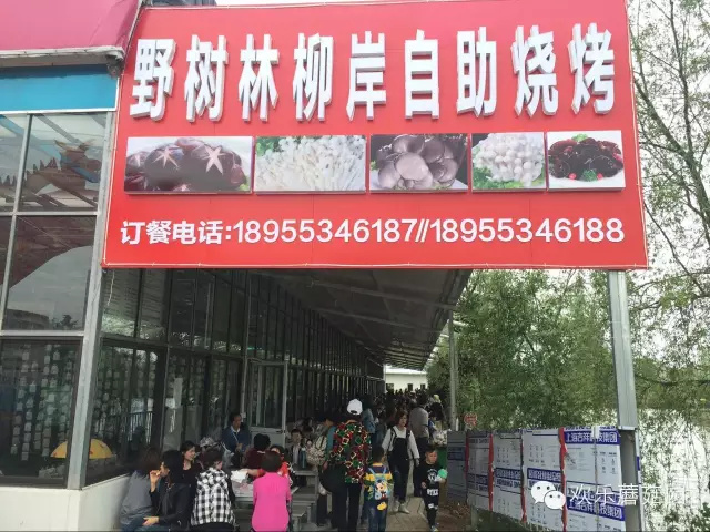 野树林柳岸烧烤开业啦！！！