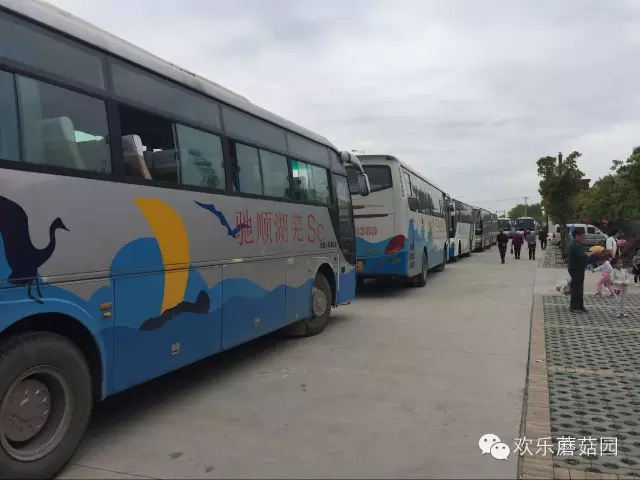 【独家】要问蘑菇哪里好，当然首选百菇园！！！