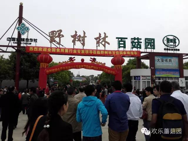 中国（合肥）国际食用菌会议参会代表 24日赴野树林参观、学习