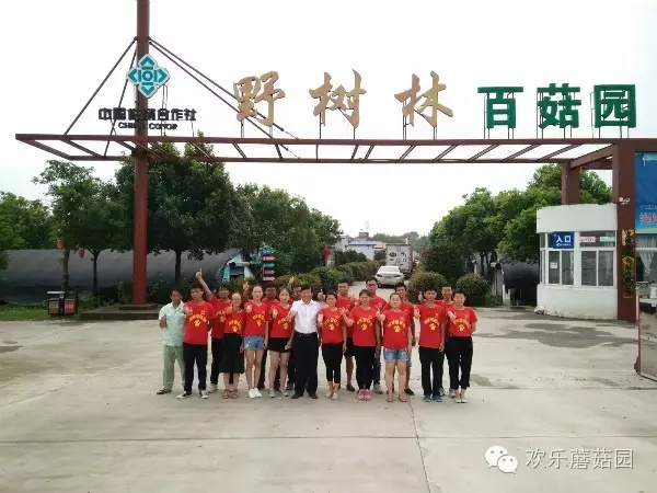 【野树林百菇园】抗洪防汛志愿队在行动！！！