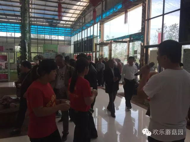 九九重阳节，浓浓敬老情，野树林在行动！！