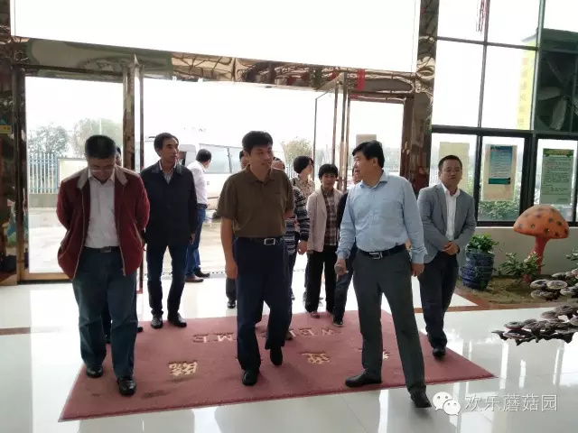 芜湖县政协领导莅临野树林公司考察指导