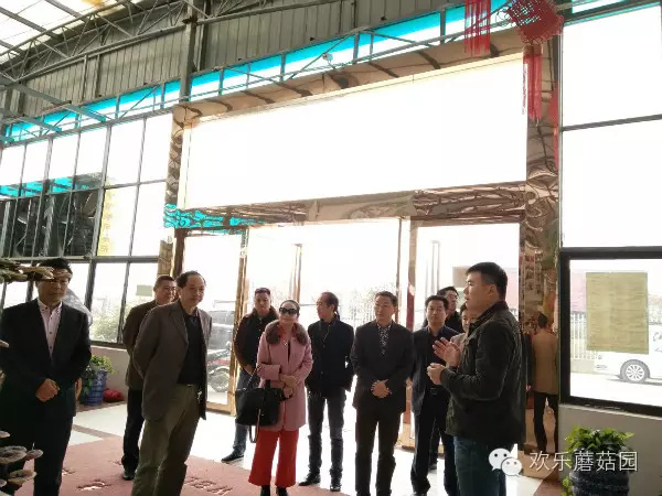 台湾中华工商文化经贸促进协会理事长王龄娇女士莅临野树林公司参观考察