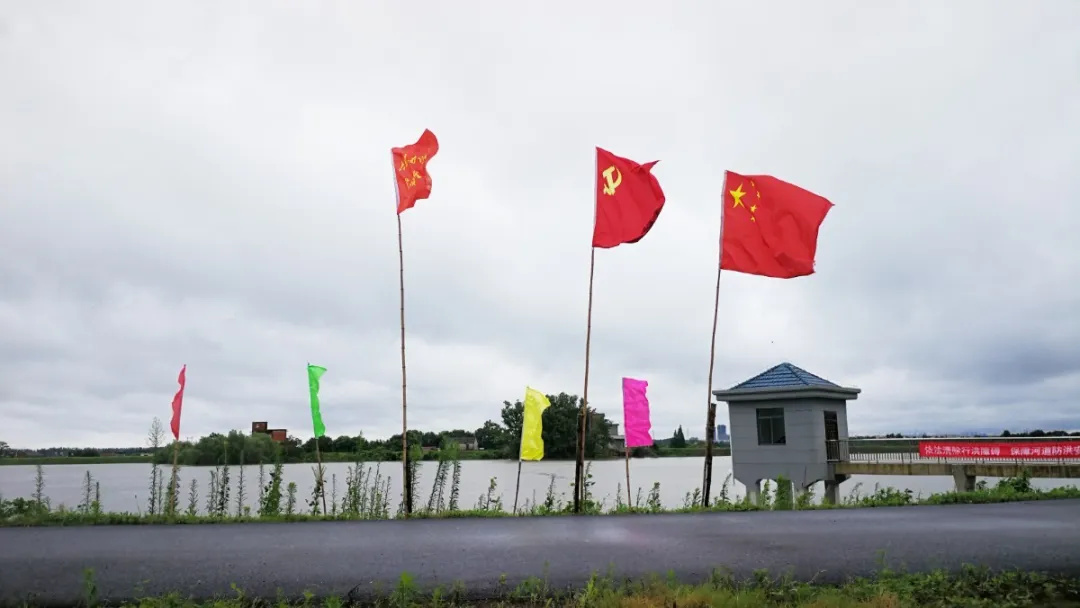 防汛抗洪志愿服务，野树林在行动！