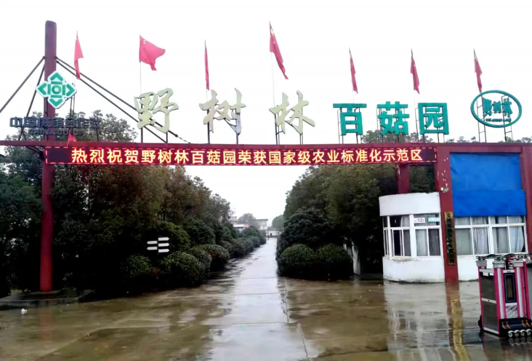 食用菌产业精准扶贫、帮扶贫困地区打好脱贫攻坚战！