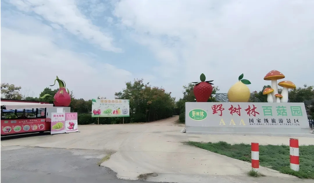 野树林百菇园：新春超值特惠，错过等一年！