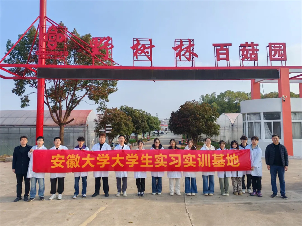 安徽大学学子在野树林的“产业实践”深耕之旅