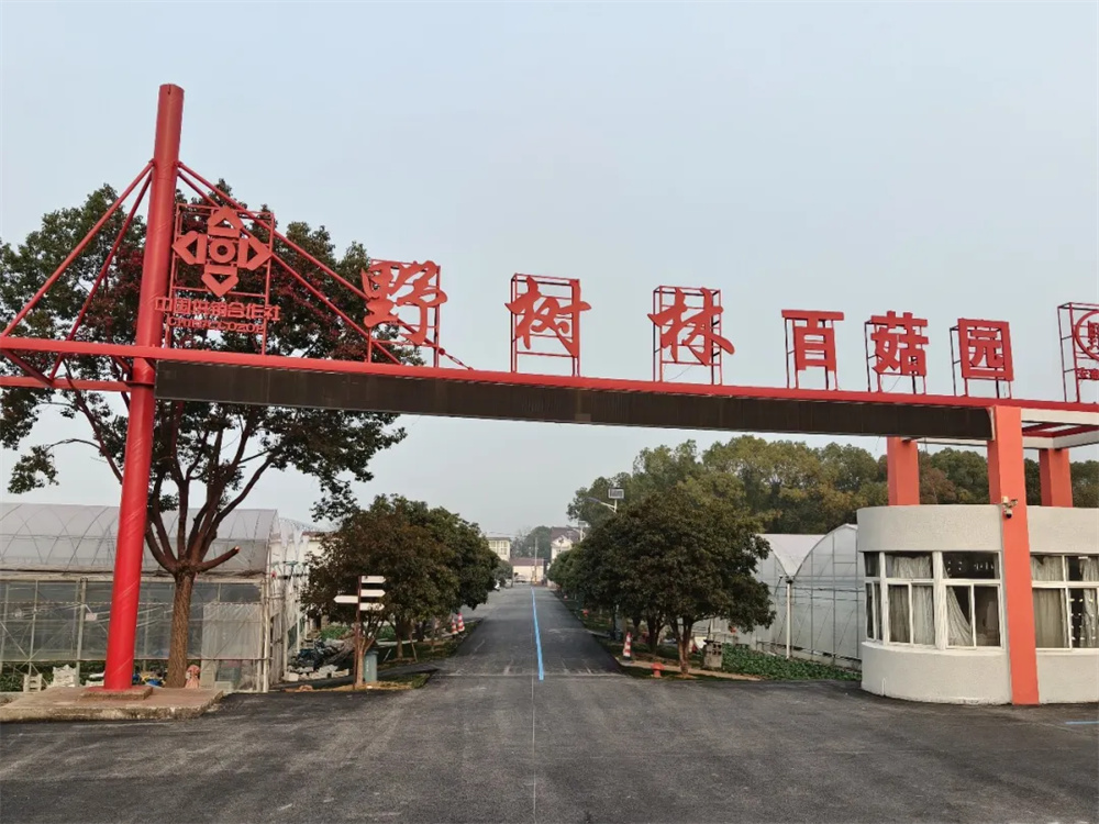 莓好“食”光，“果”然有趣！野树林百菇园元旦采摘季，承包你的新年趣玩时光